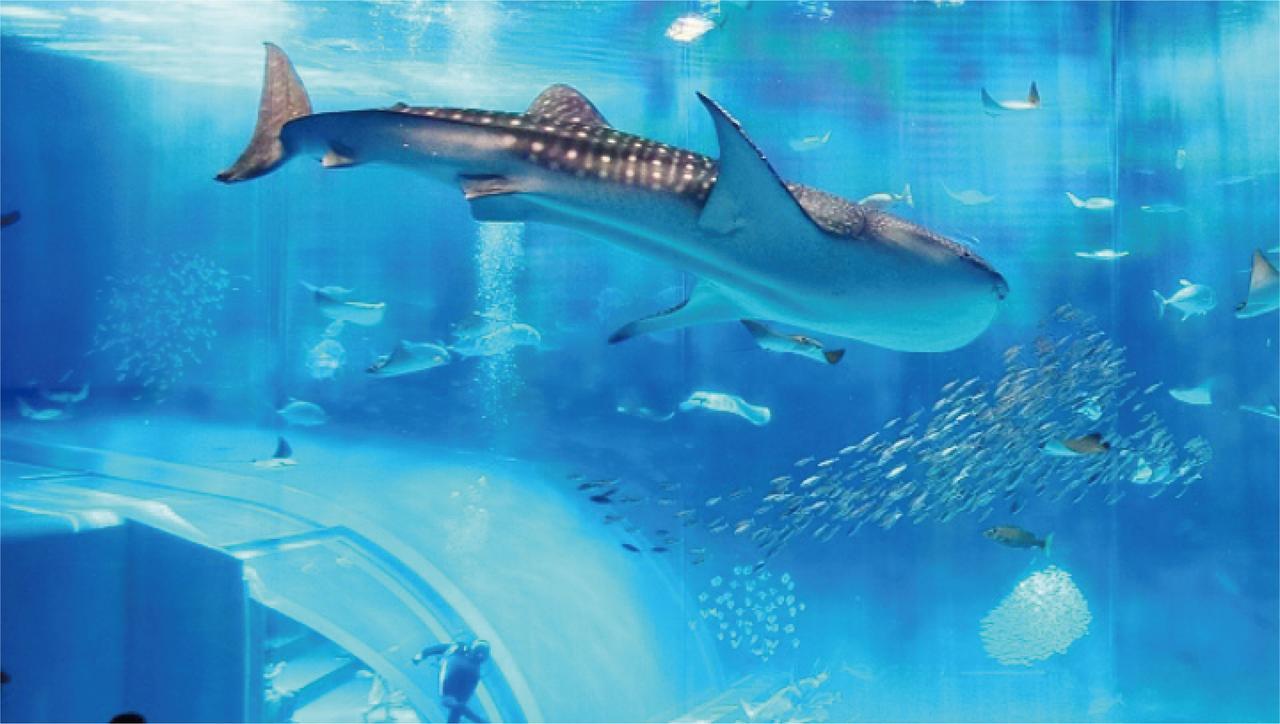 Yukurinaresort Okinawa Ocean Terrace Motobu Zewnętrze zdjęcie